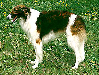 00057407.jpg